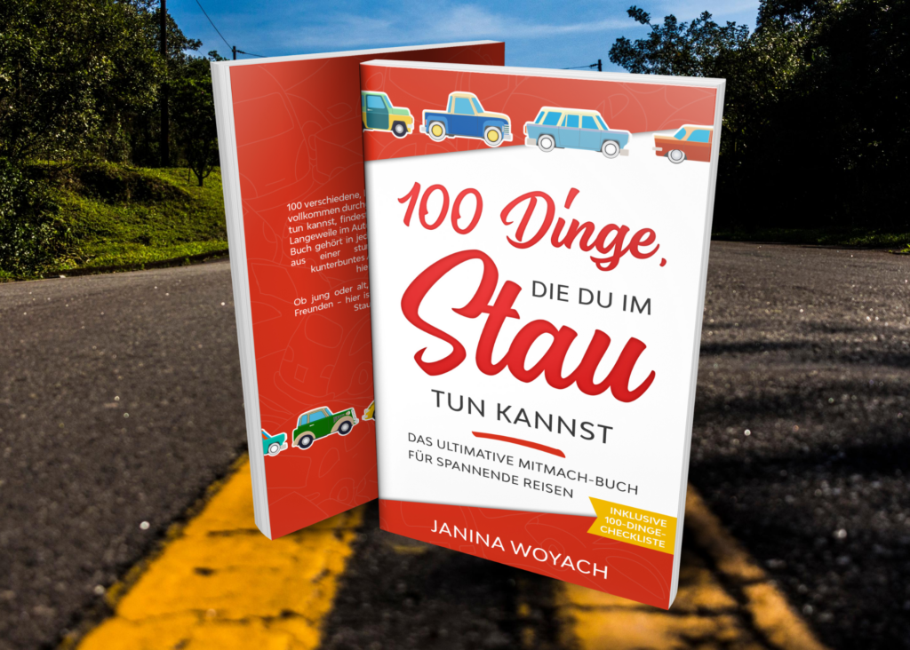 100 dinge stau taschenbuch