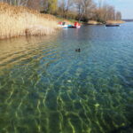 Kulkwitzer See Leipziger Neuseenland